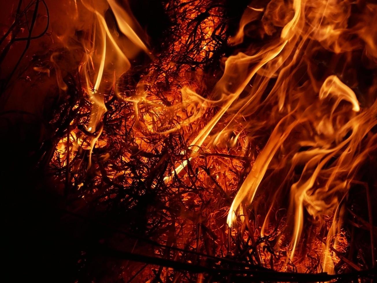 una hermosa llama con la forma imaginada. como del infierno, mostrando un fervor peligroso y ardiente, fondo negro foto