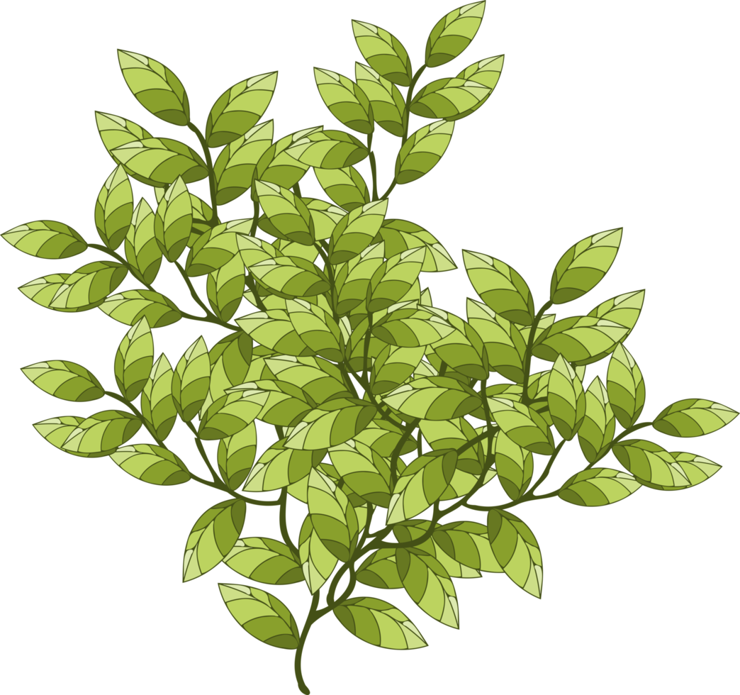 branch, tree branch, plant png