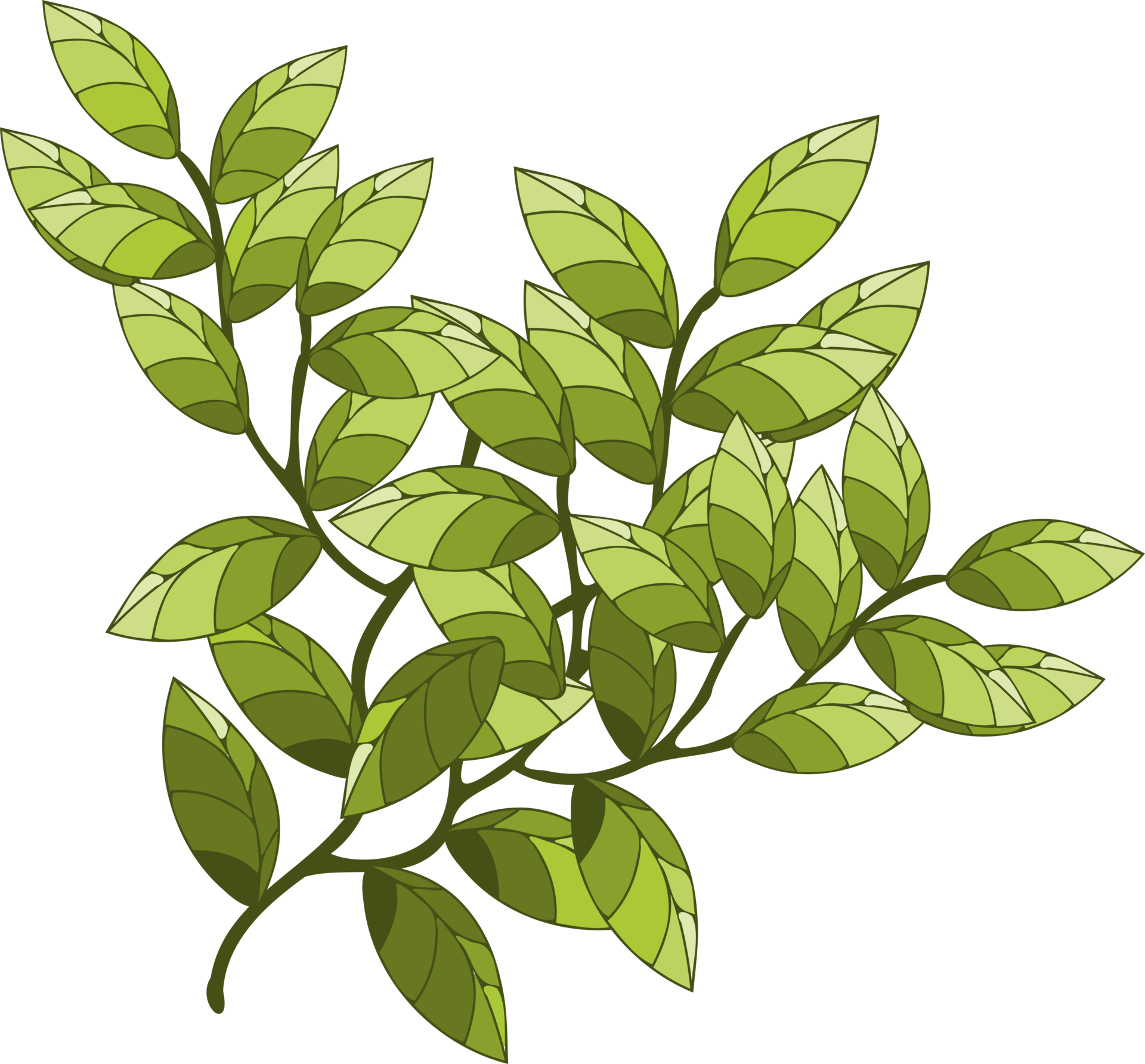 branch, tree branch, plant 9313106 PNG