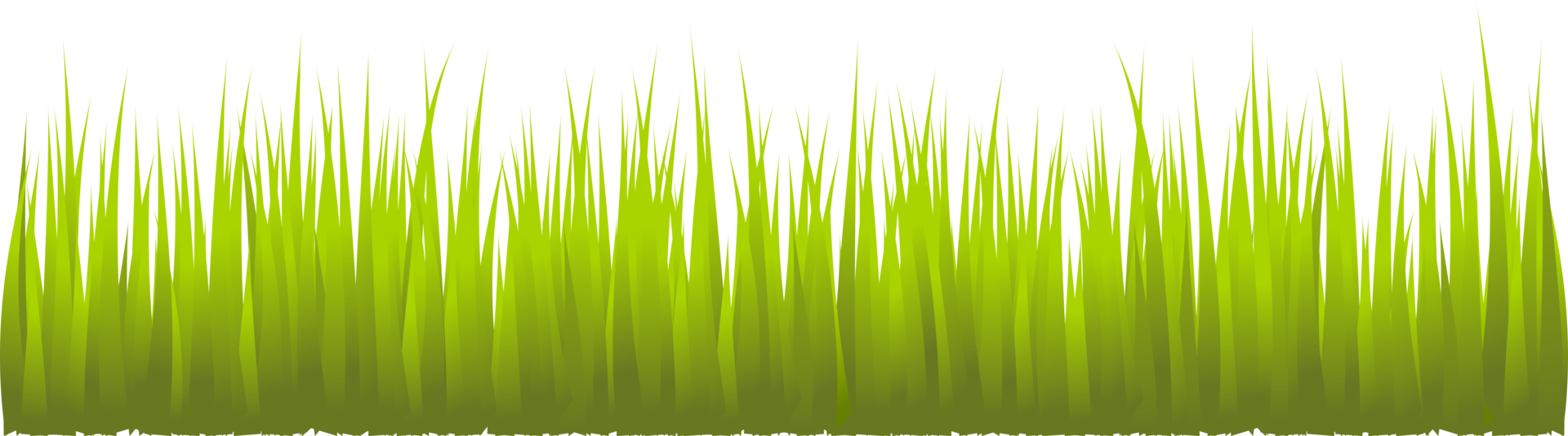 long grass, grass png