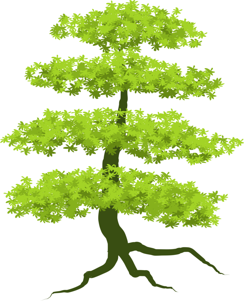 Baum, Waldbaum png