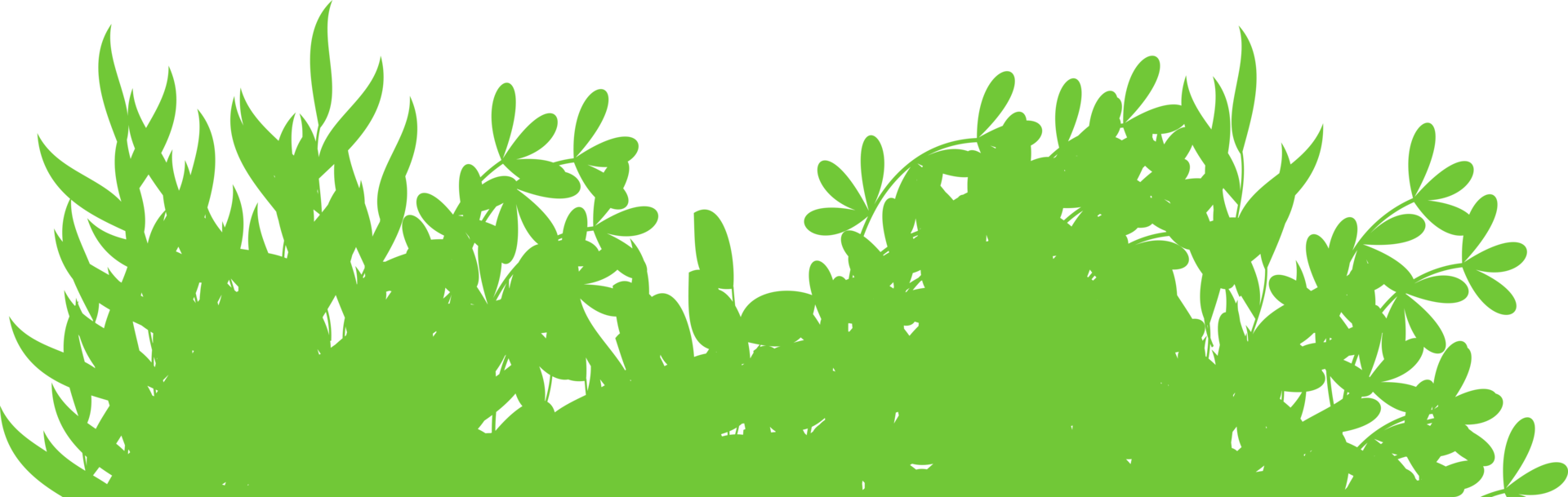 green bush, wild bush png