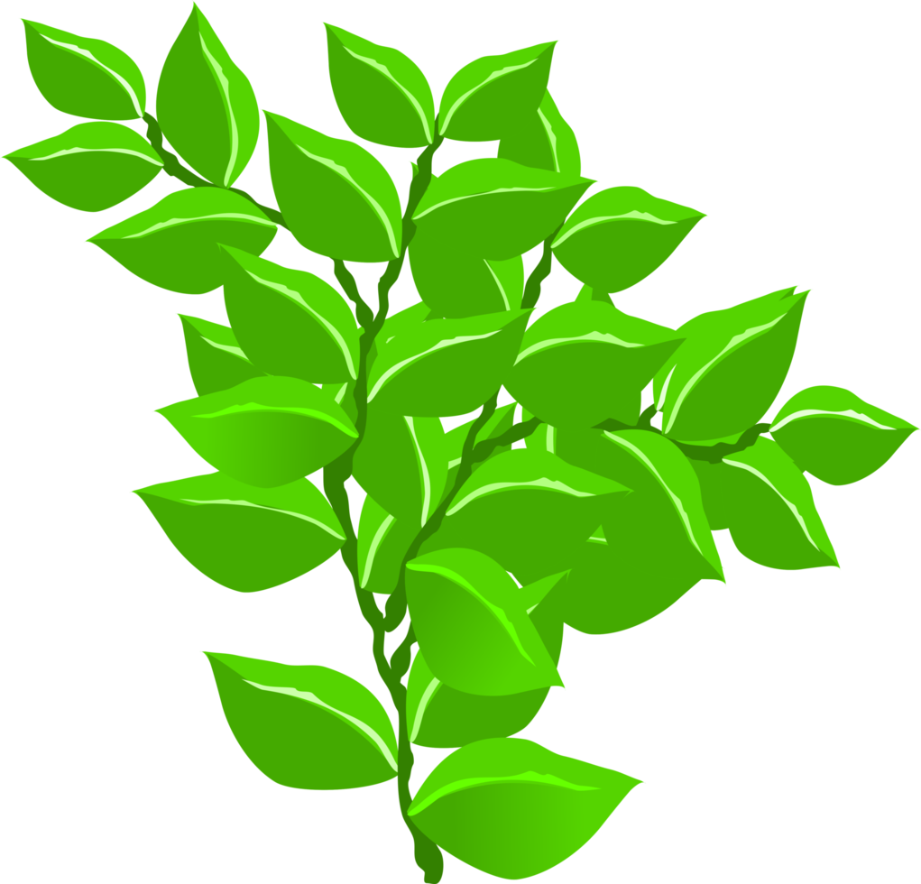 branch, tree branch, plant png