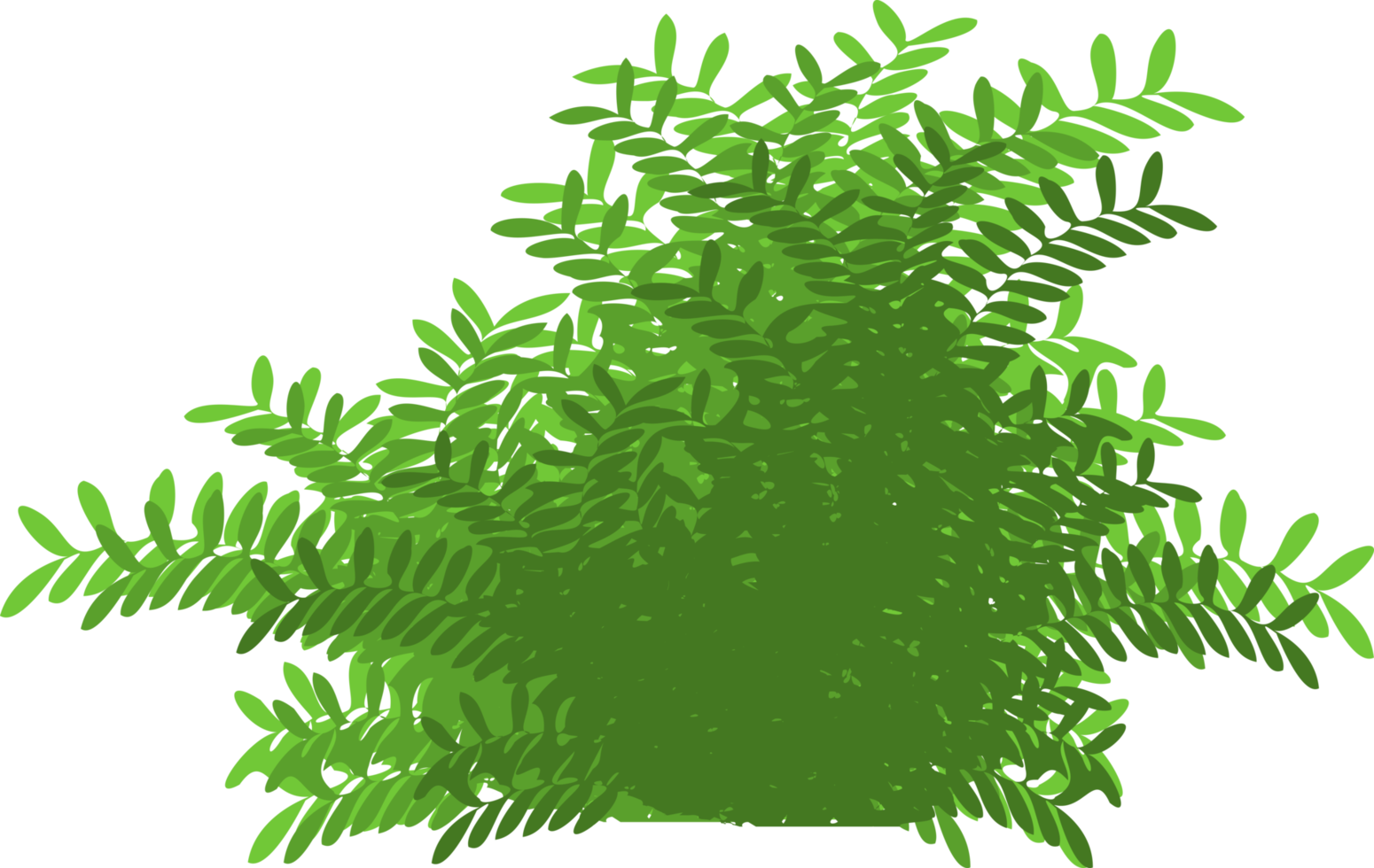 bush, green bush png