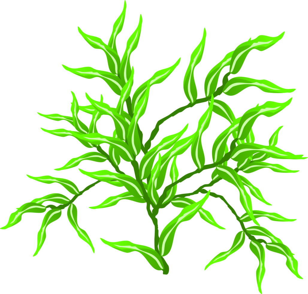 branch, tree branch, plant png