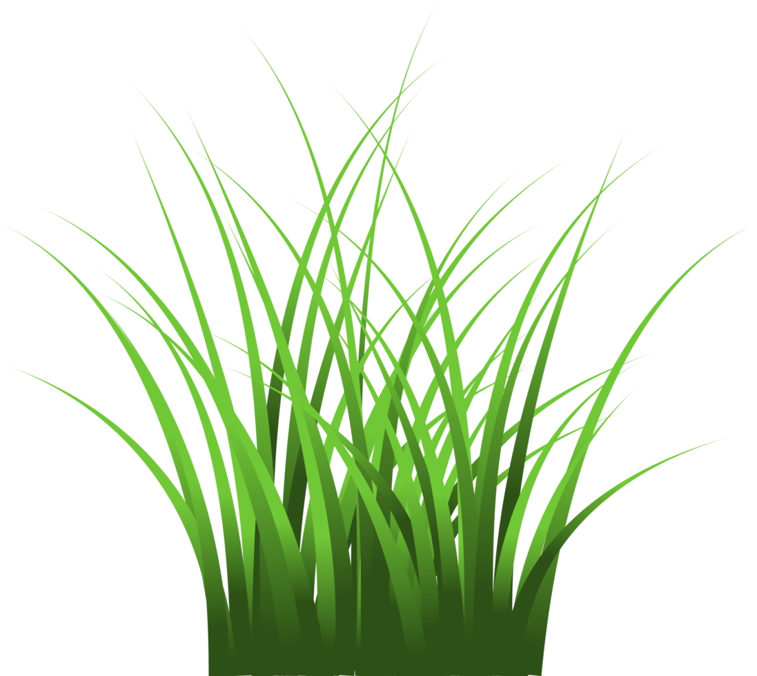 Gras, grünes Gras png