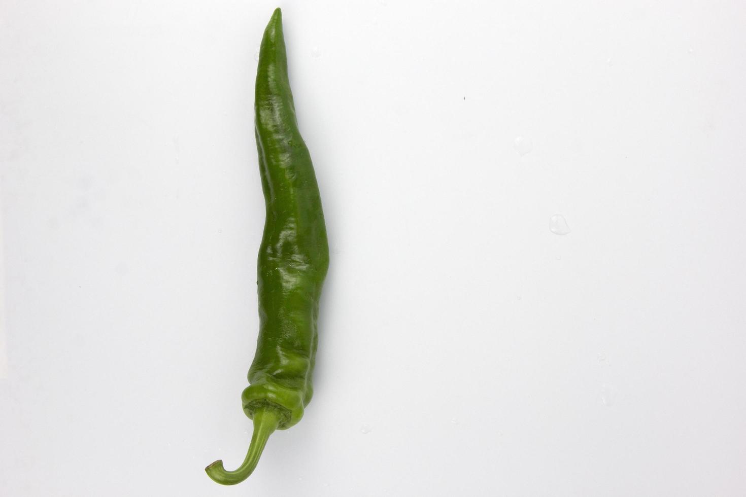 green organic chili isolated on a white background photo