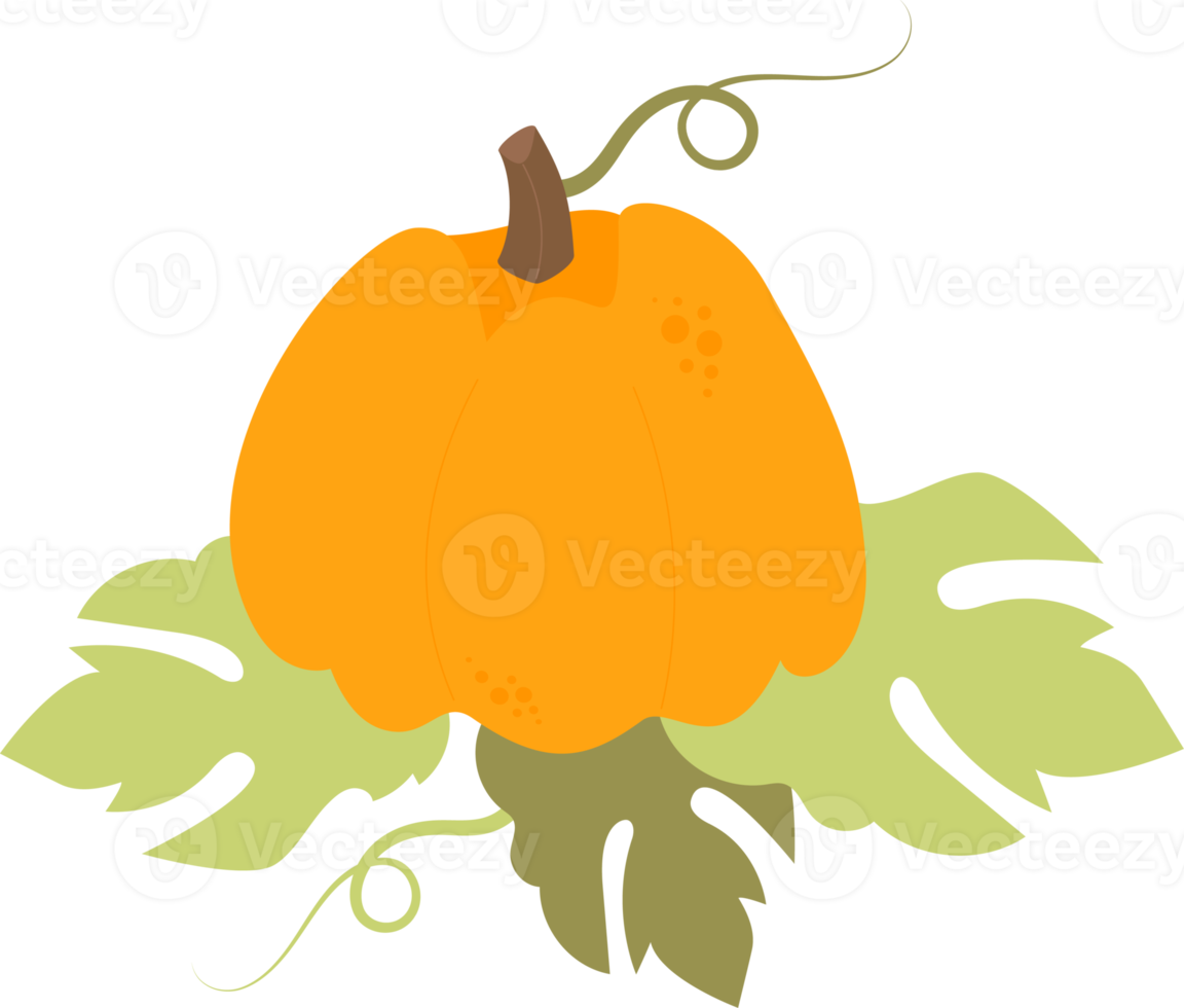 orange pumpa med blad png