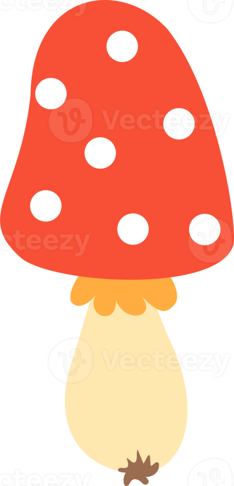 Fly agaric. poisonous mushroom png