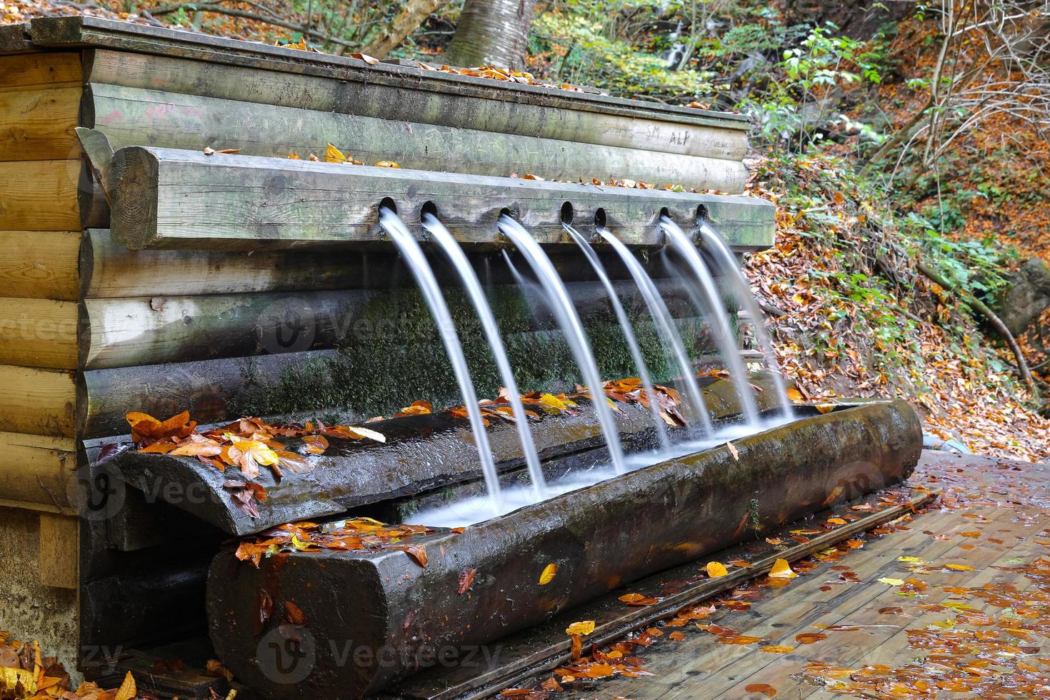 Fountain in Yedigoller National Park, Bolu, Turkey photo