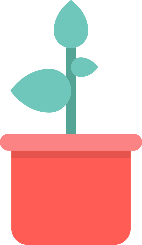 Potted plant with gold coins png