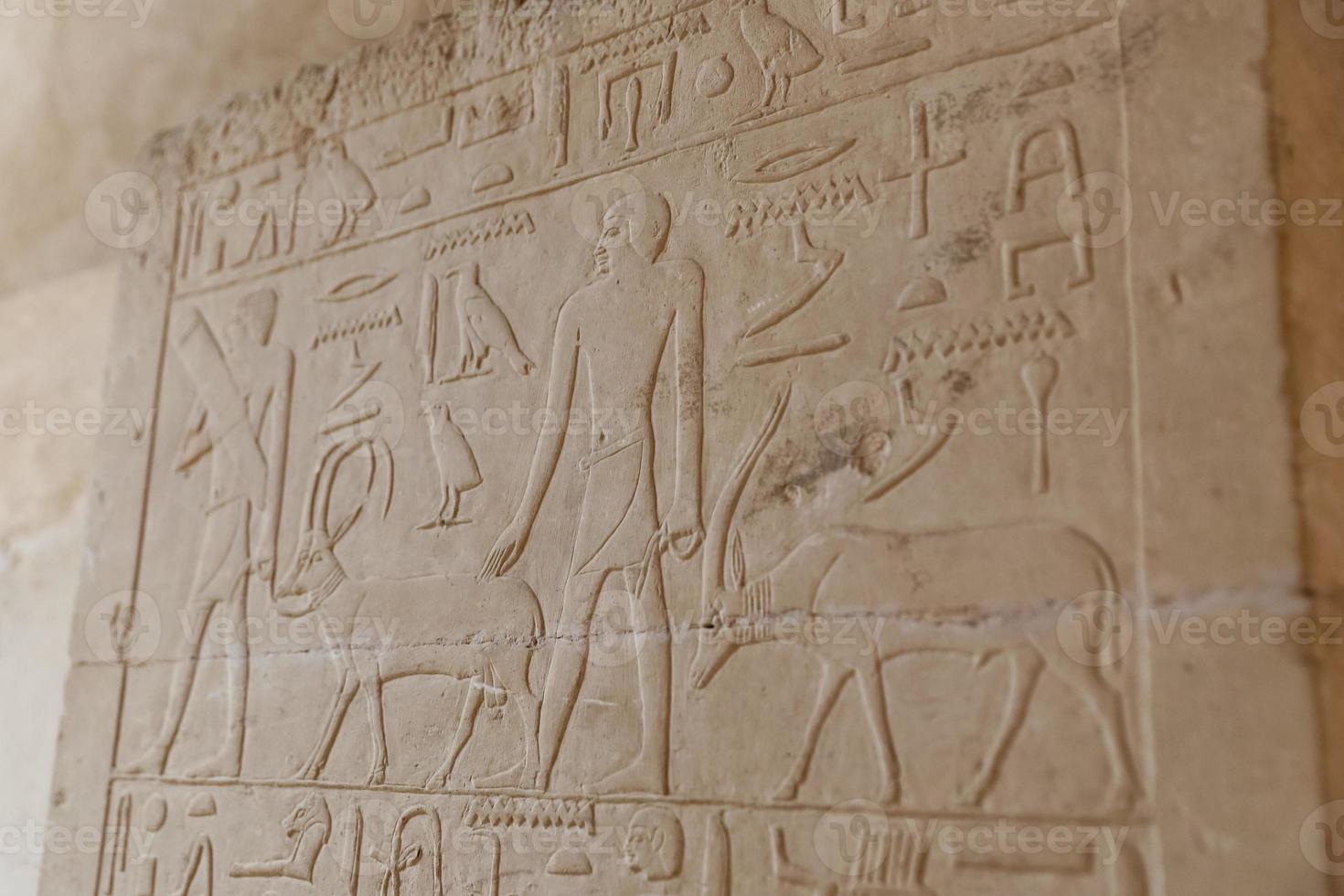 Scenes in Saqqara Necropolis, Cairo, Egypt photo