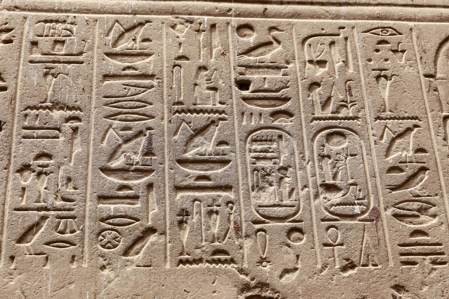 Egyptian Hieroglyphs in Luxor Temple, Luxor, Egypt photo