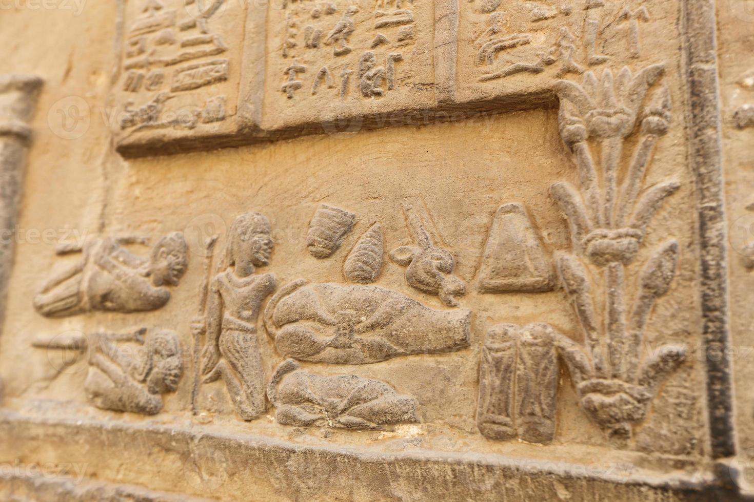 Scene from Kom Ombo Temple in Aswan, Egypt photo
