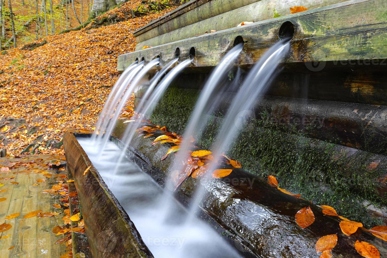 fuente en el parque nacional yedigoller, bolu, turquía foto