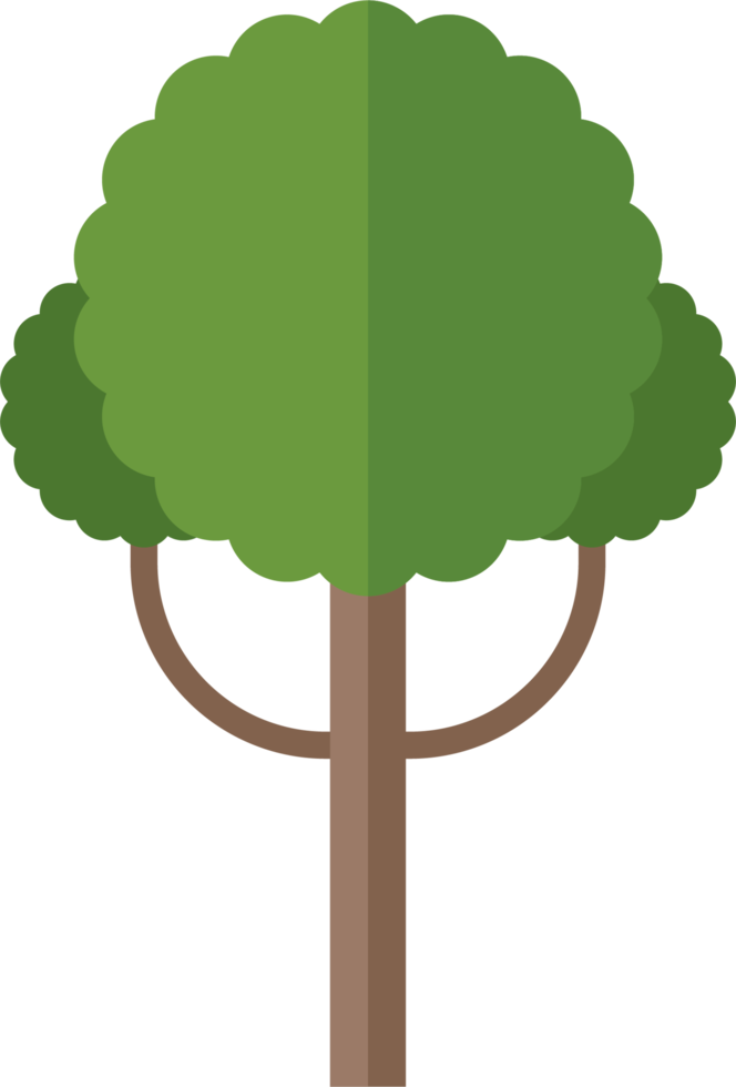 Green flat tree vector illustration isolated on white png