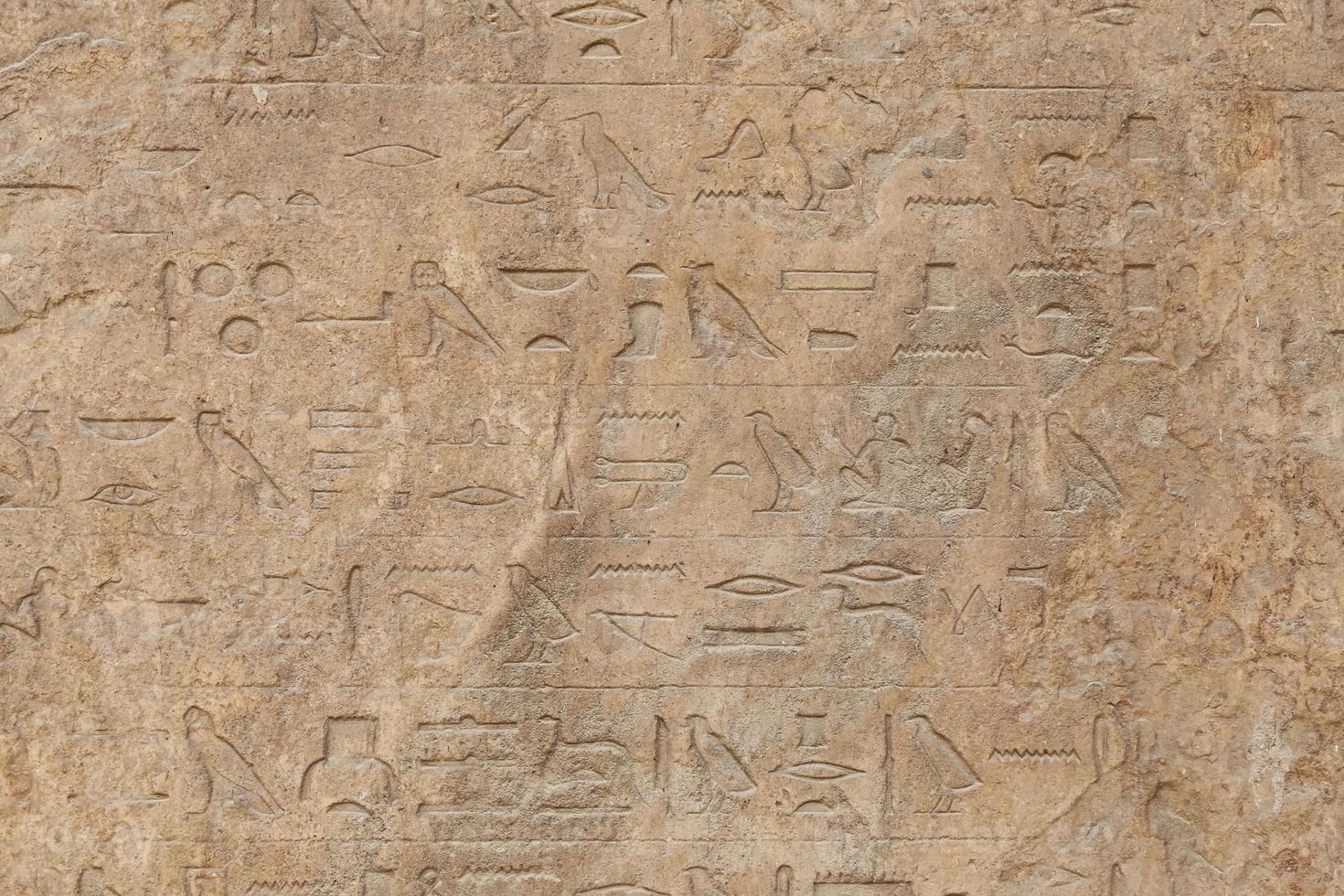 Hieroglyphics in Memphis, Cairo, Egypt photo