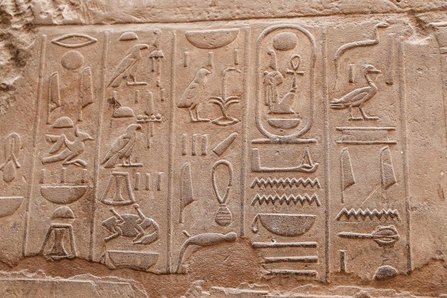 Egyptian Hieroglyphs in Luxor Temple, Luxor, Egypt photo