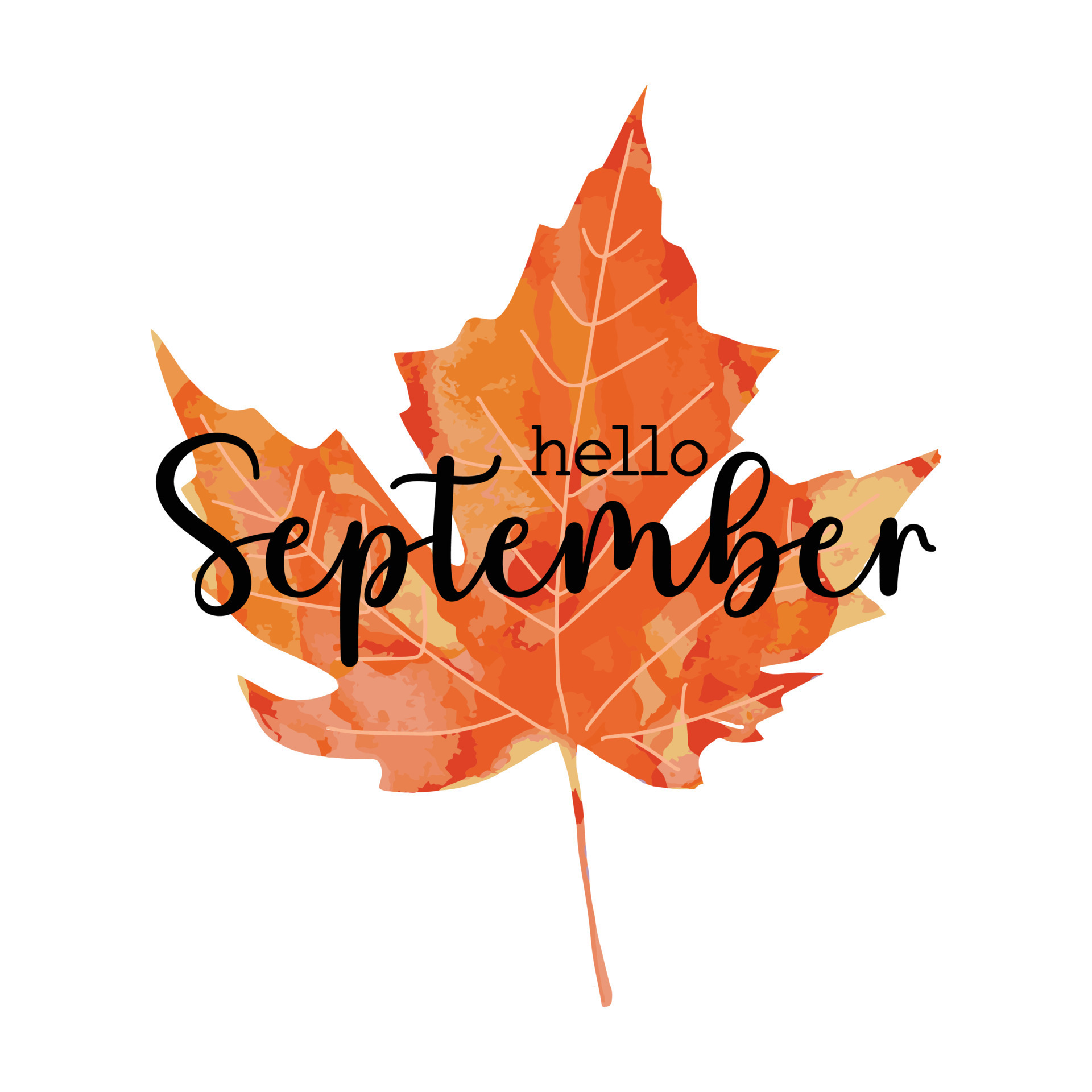 Beautiful calligraphy lettering text - Hello September. Bright orange