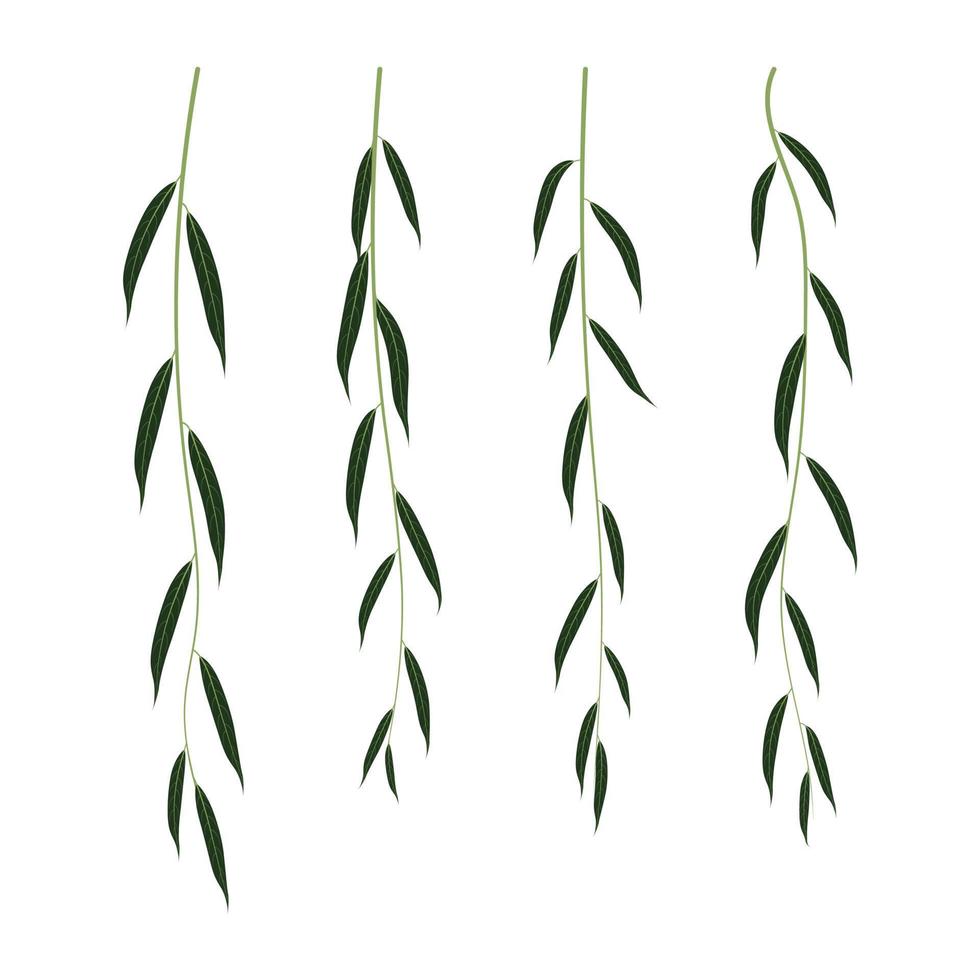 Willow twigs flat vector set of illustrations