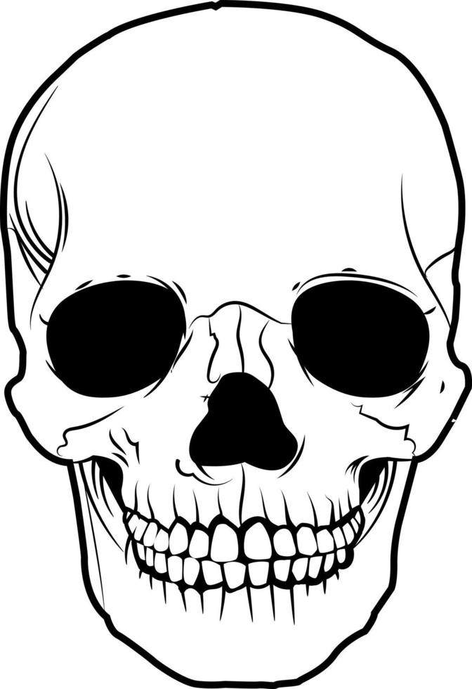 simple skull illustrated vector