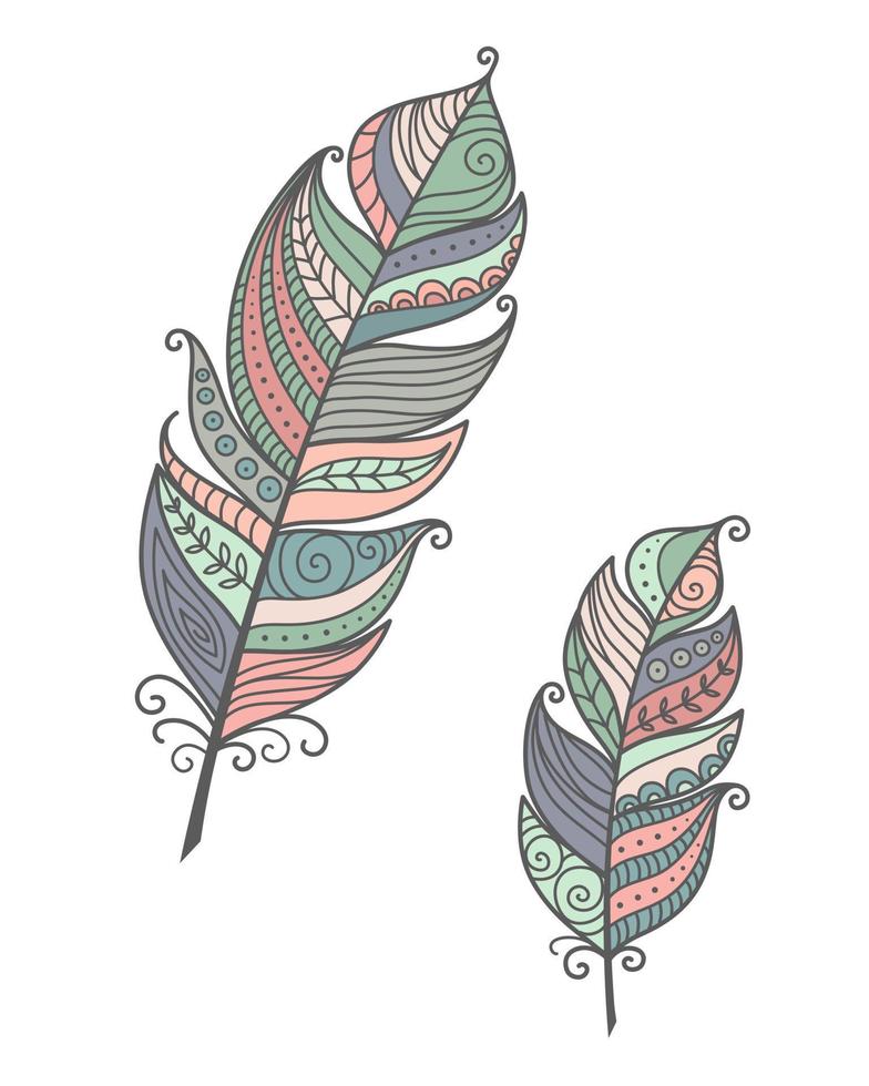 Set Feathers Boho Doodle vector