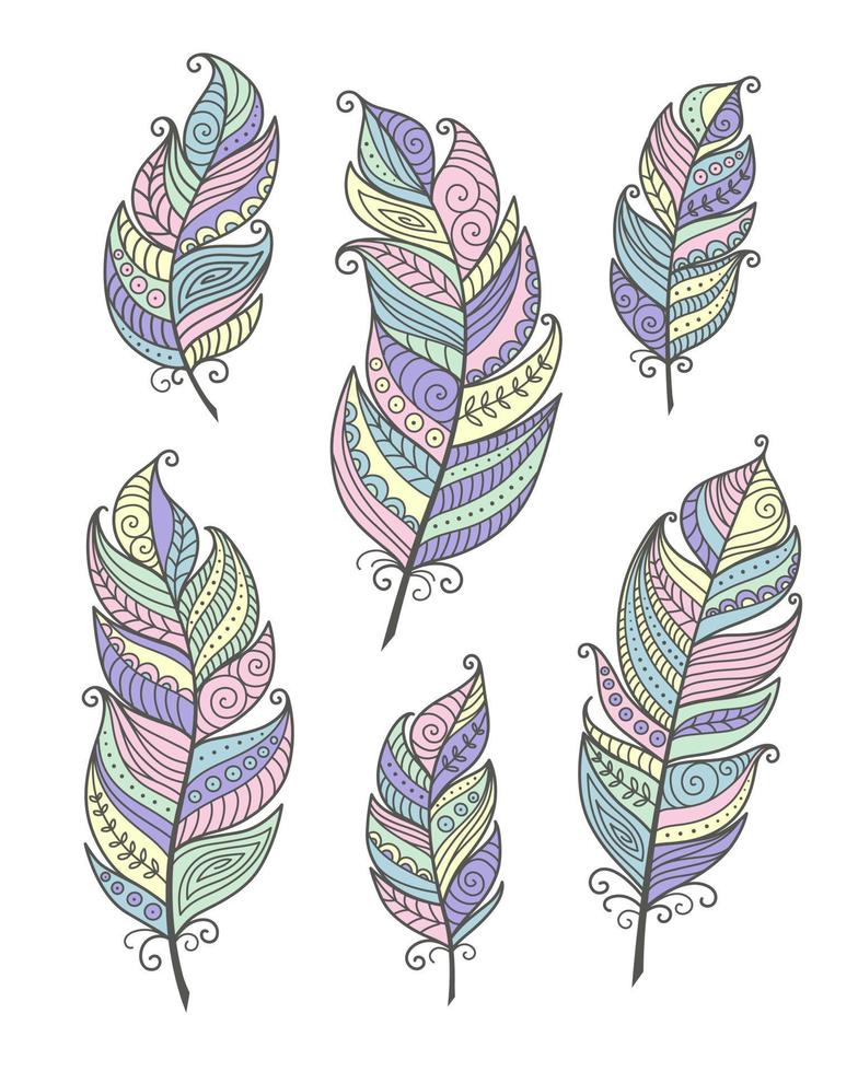 Set Feathers Boho Doodle vector