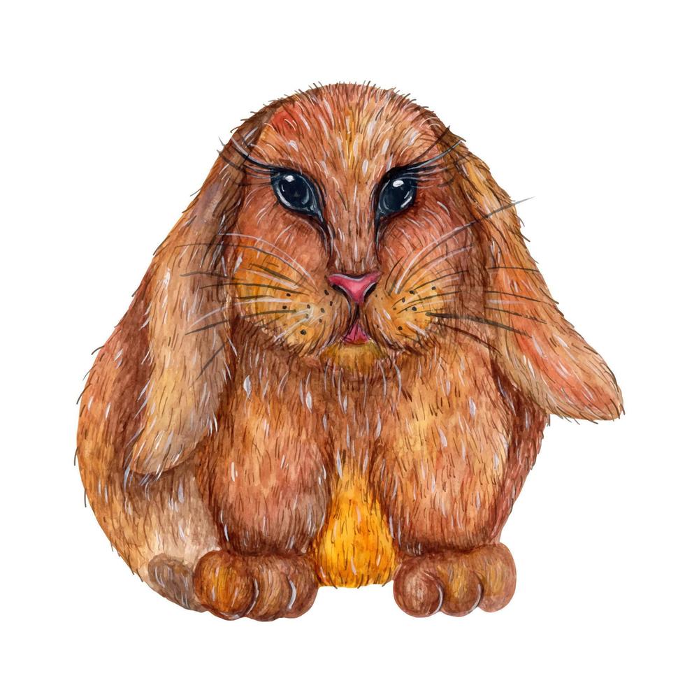 linda ilustración de vector de acuarela de conejito de Pascua. conejo marrón dibujado a mano aislado sobre fondo blanco. animal de granja esponjoso, mascota divertida. clipart para decoración, diseño de tarjeta, impresión, póster, web