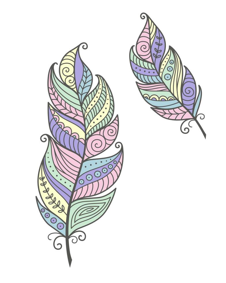 conjunto plumas boho garabato vector