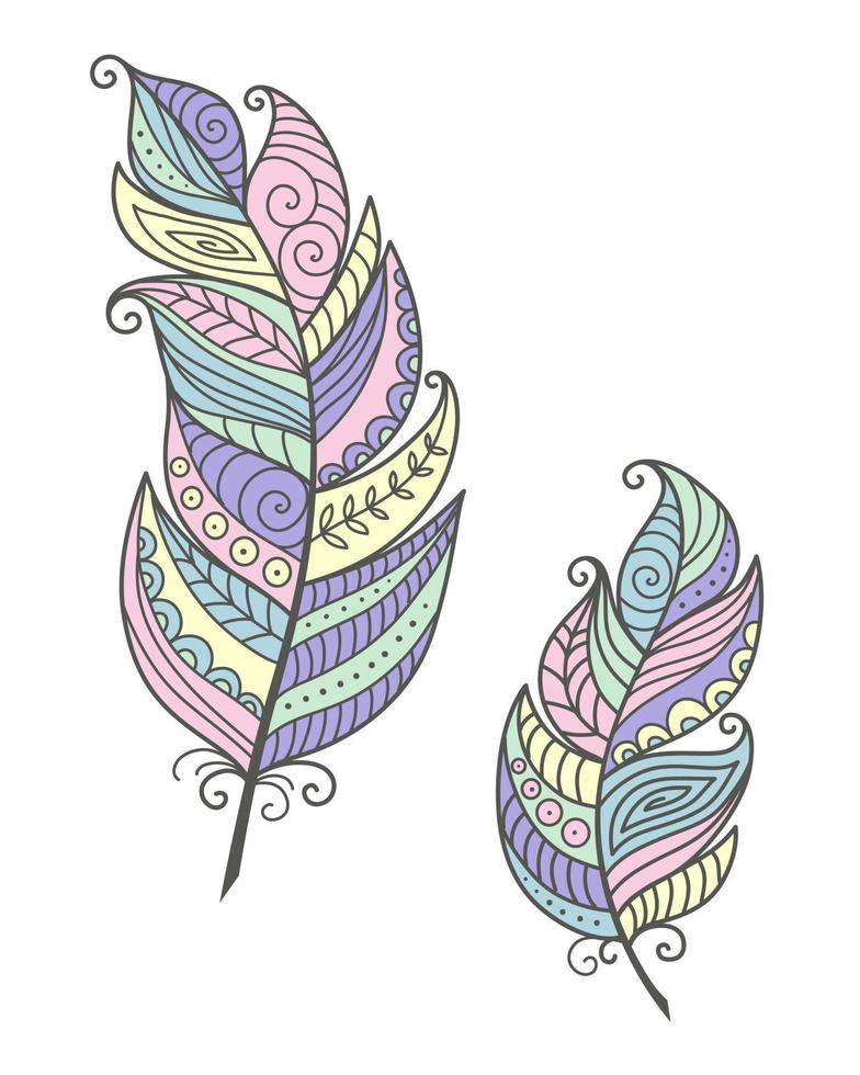 Set Feathers Boho Doodle vector