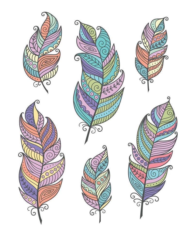 Set of boho feathers vector