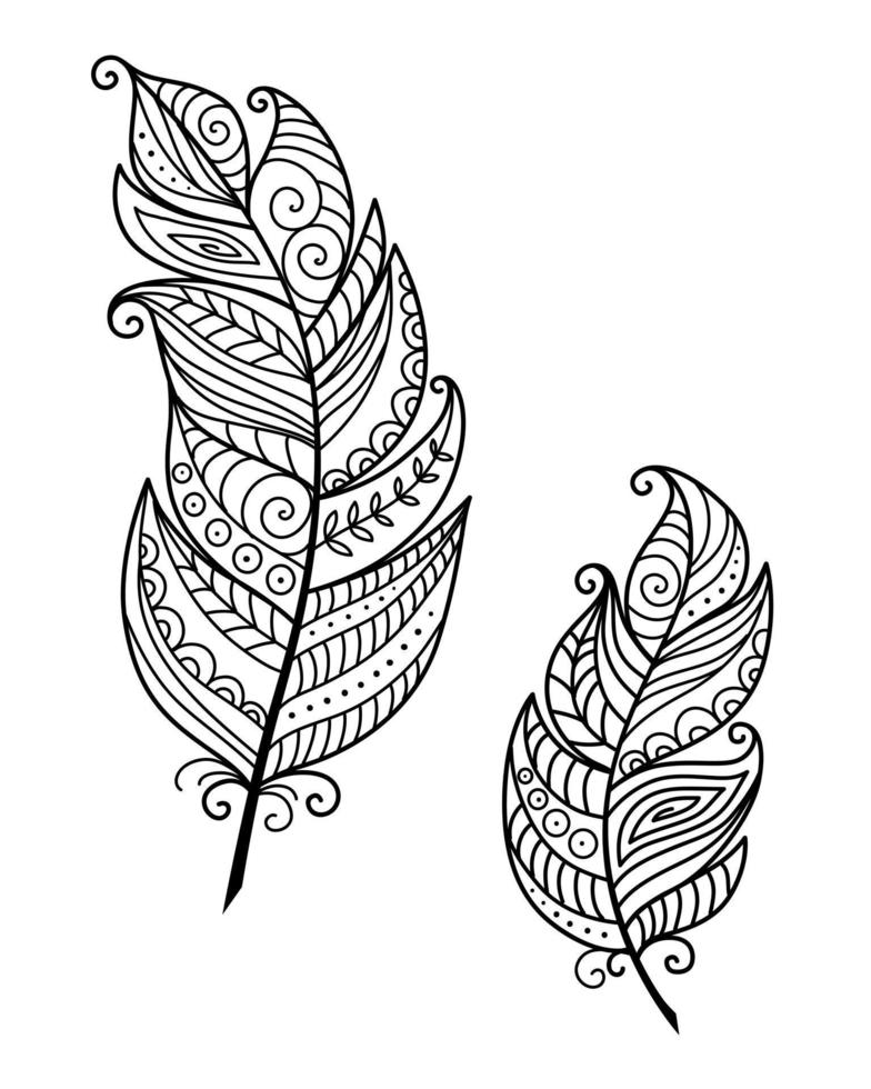 Set Feathers Boho Doodle vector