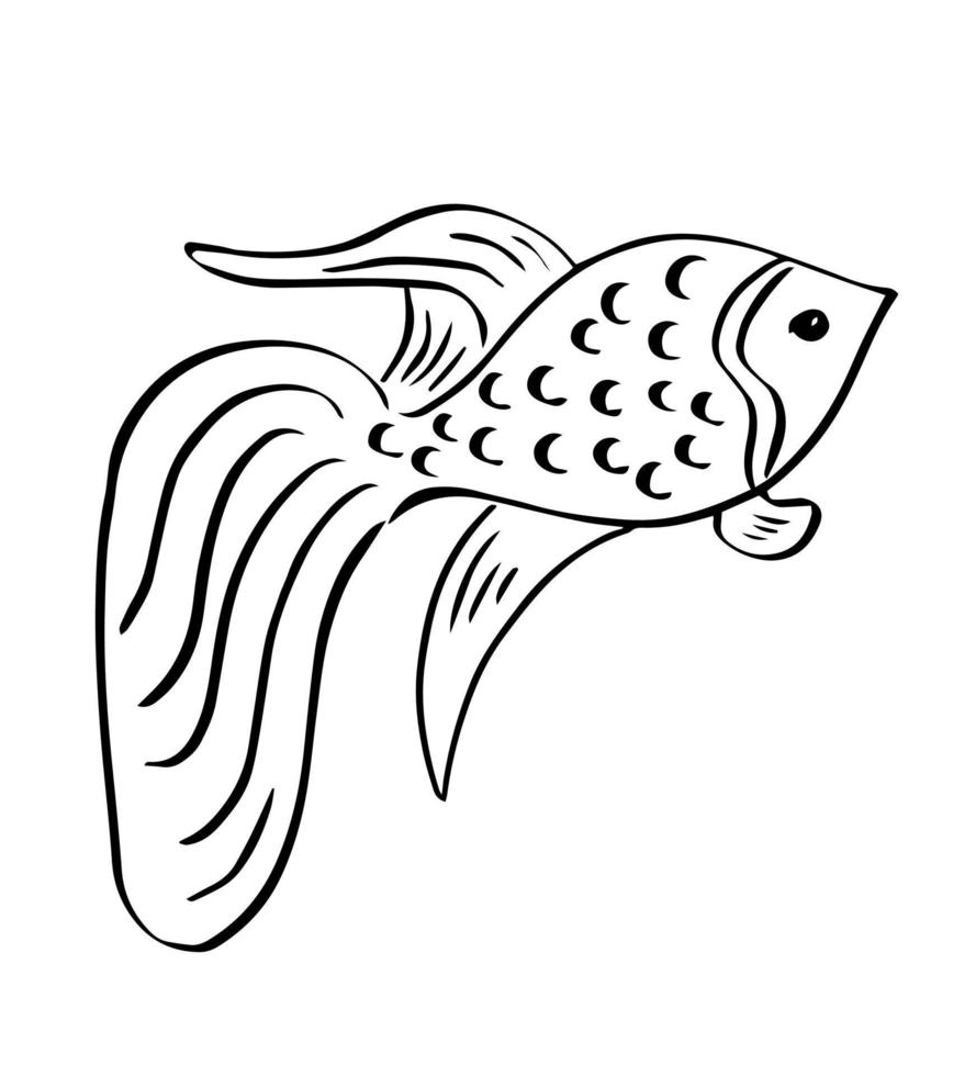 Silhouette of a goldfish. Hand drawn sketch of the gold fish. Vector illustration.