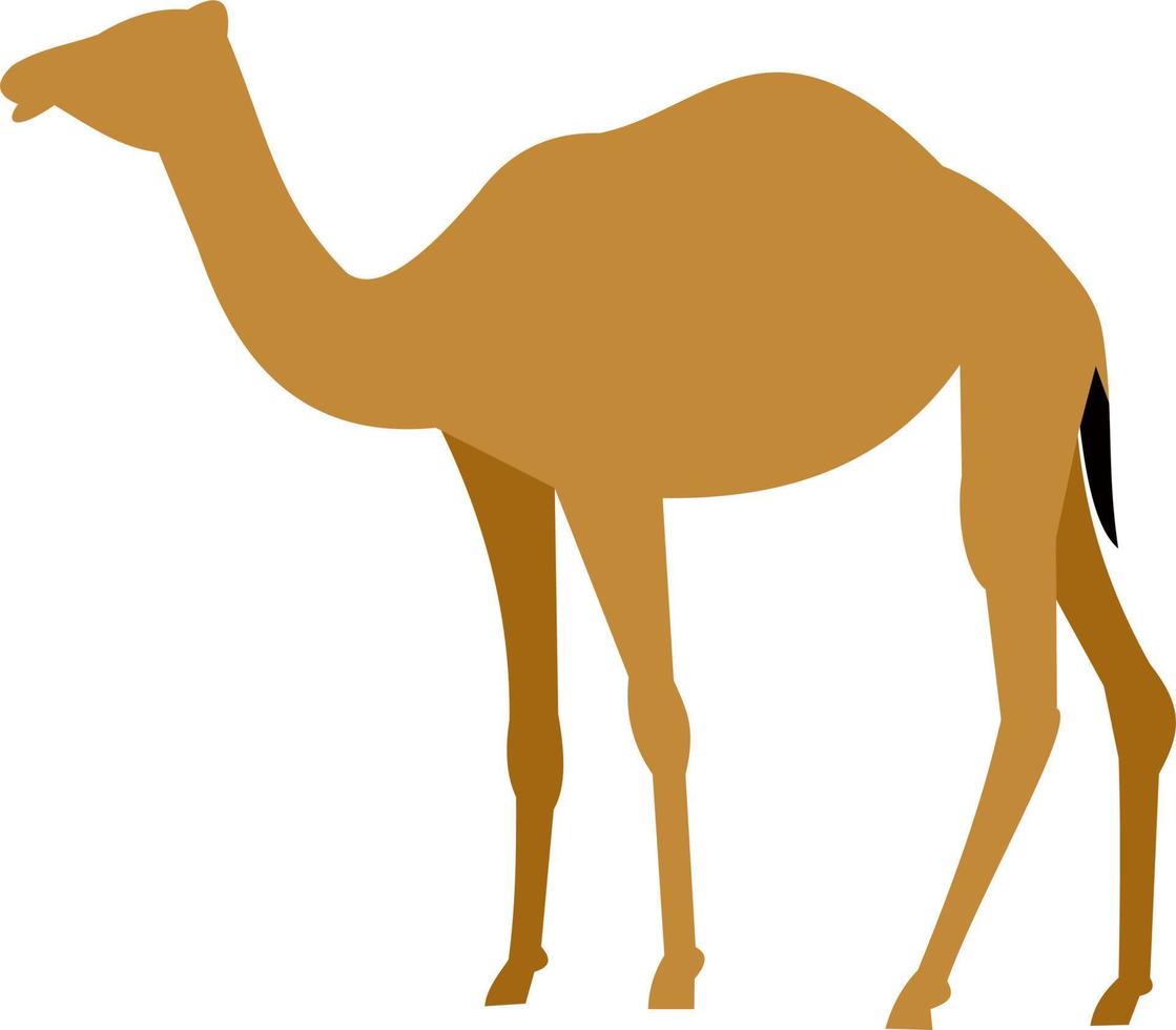 Eid Al Adha Collection vector