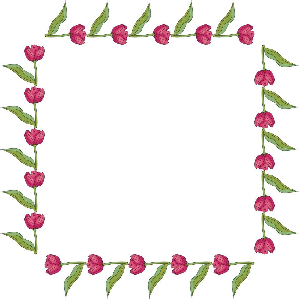 Square frame with horizontal blooming pink tulips on white background. Isolated frame of flowers for your design. vector