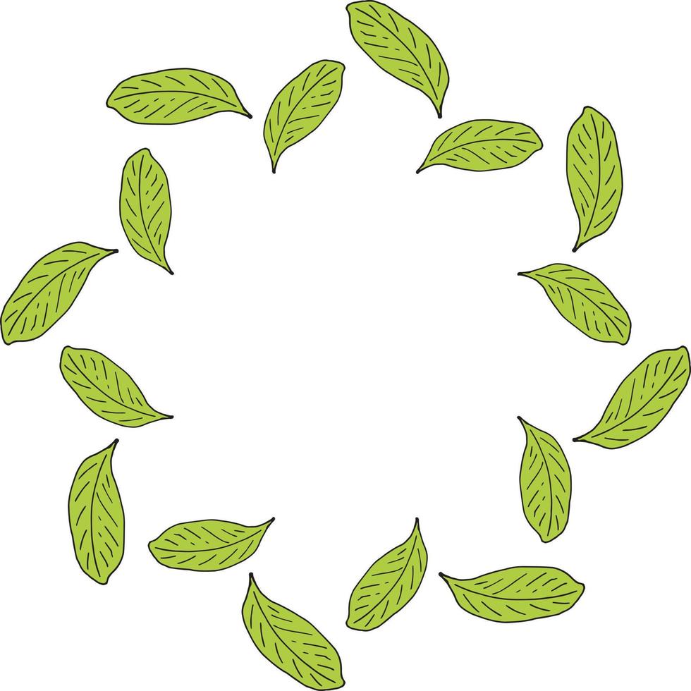 Round frame made of green leaf pattern. Romantic wreath on white background for your design. vector