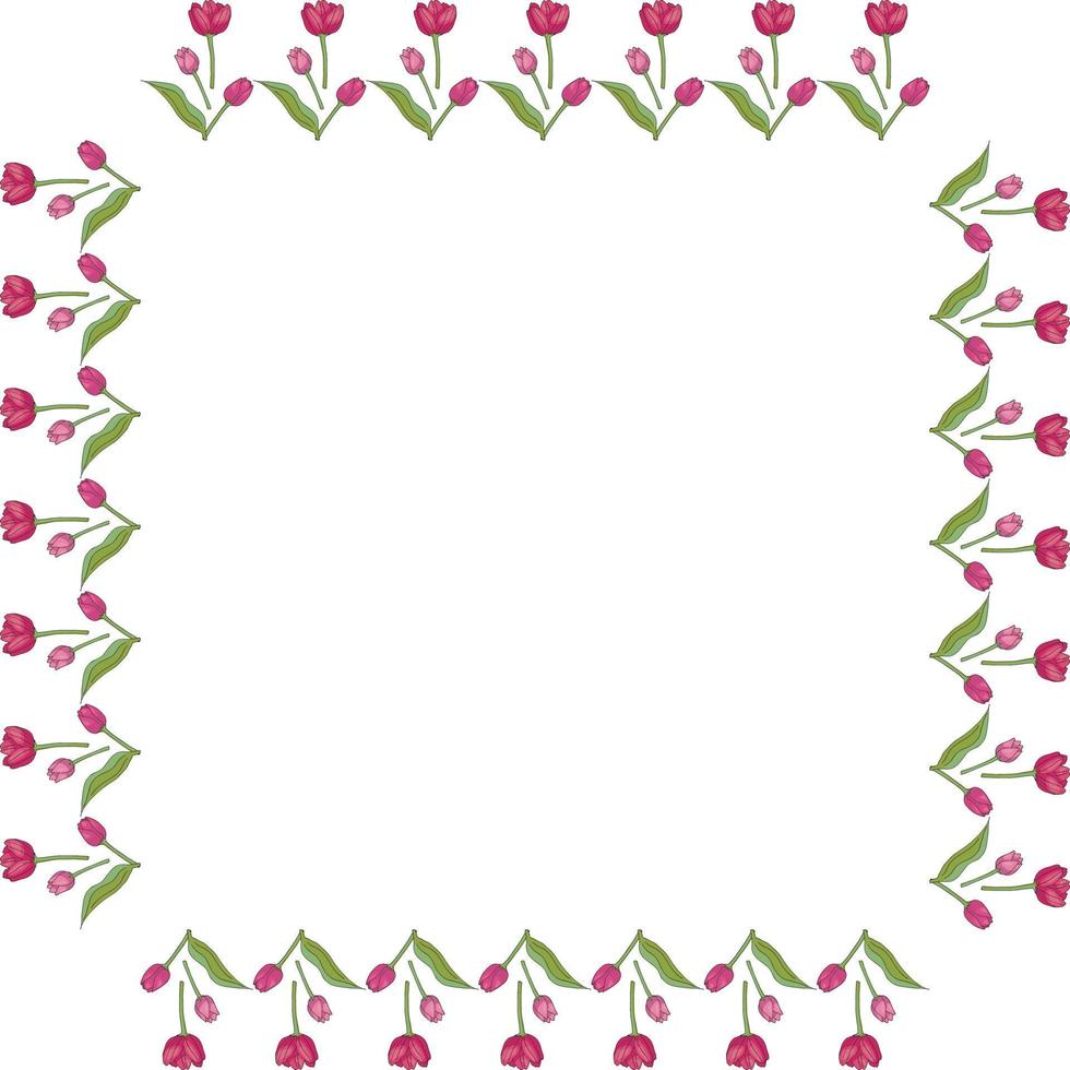 Square frame with vertical lovely pink tulips on white background. Isolated frame of flowers for your design. vector