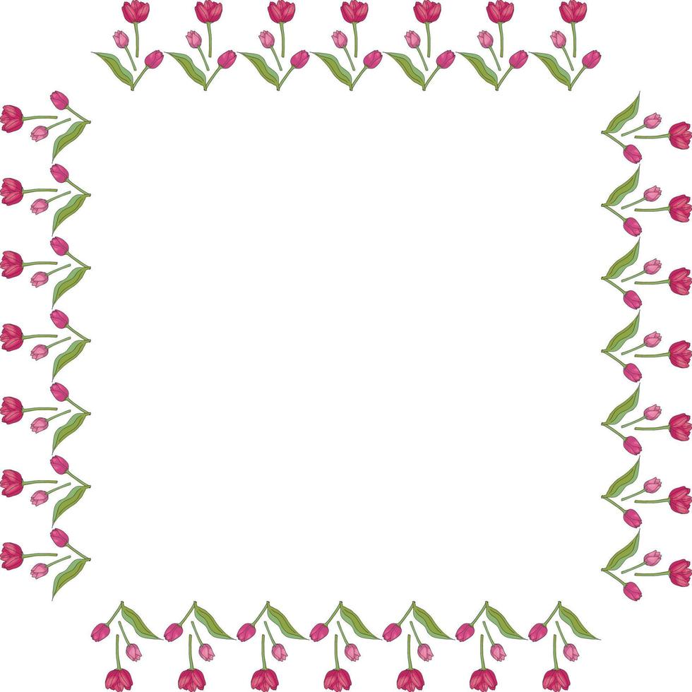 Square frame with vertical lovely pink tulips on white background. Isolated frame of flowers for your design. vector