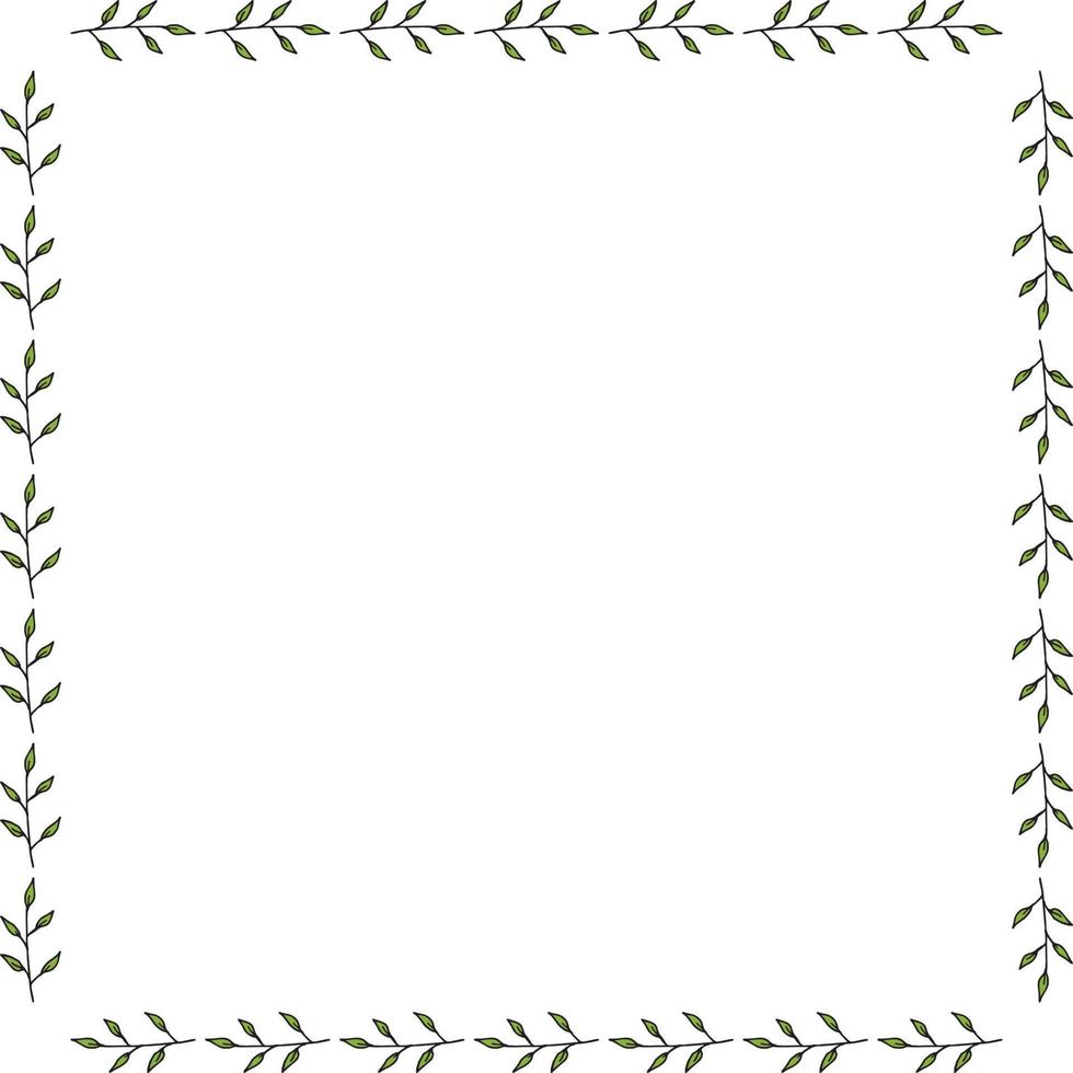 Square frame made of green branches with leaves. Vector on white for your design