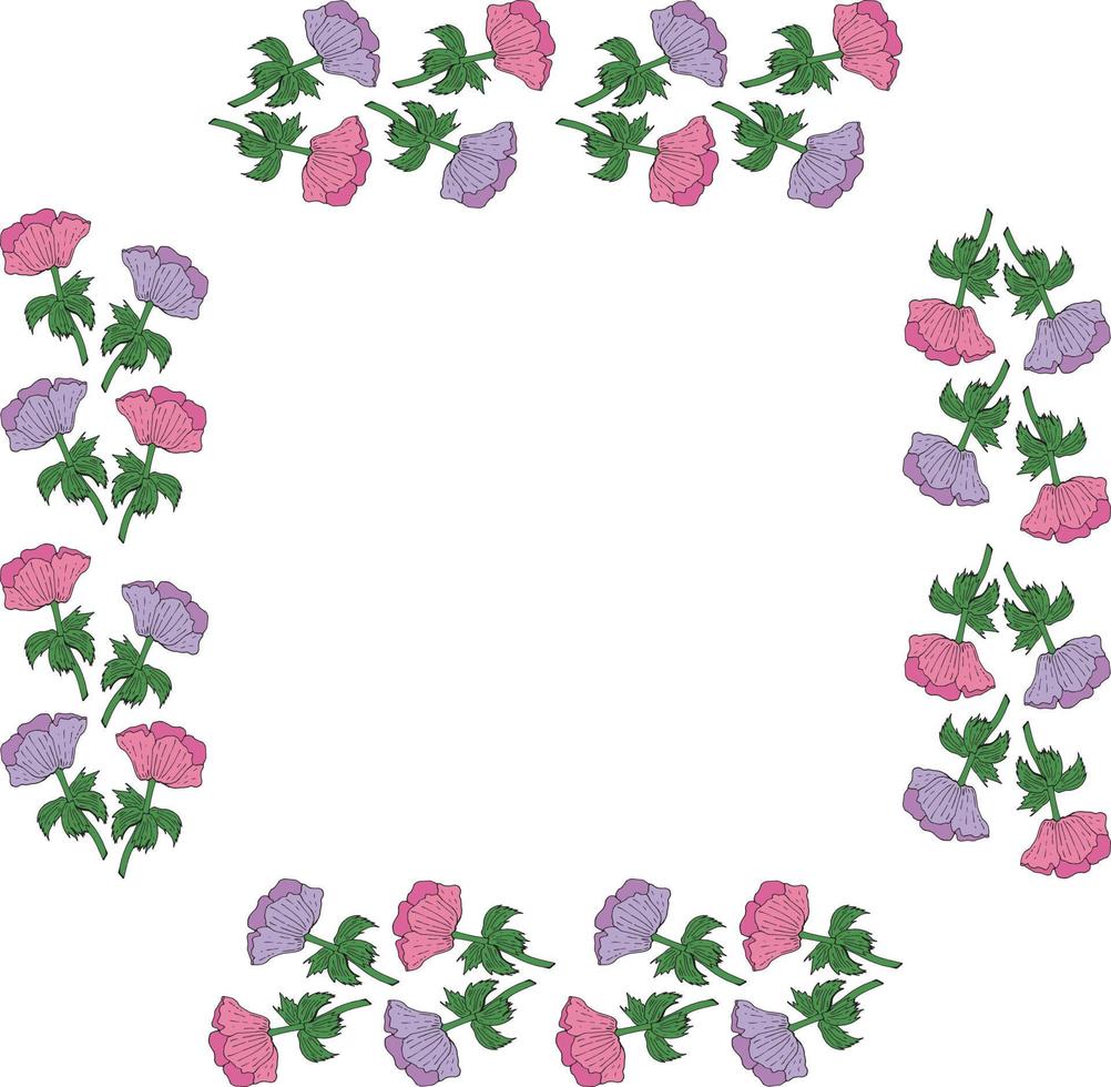 Square frame made of violet and pink anemones. Flowers on white background for your design vector