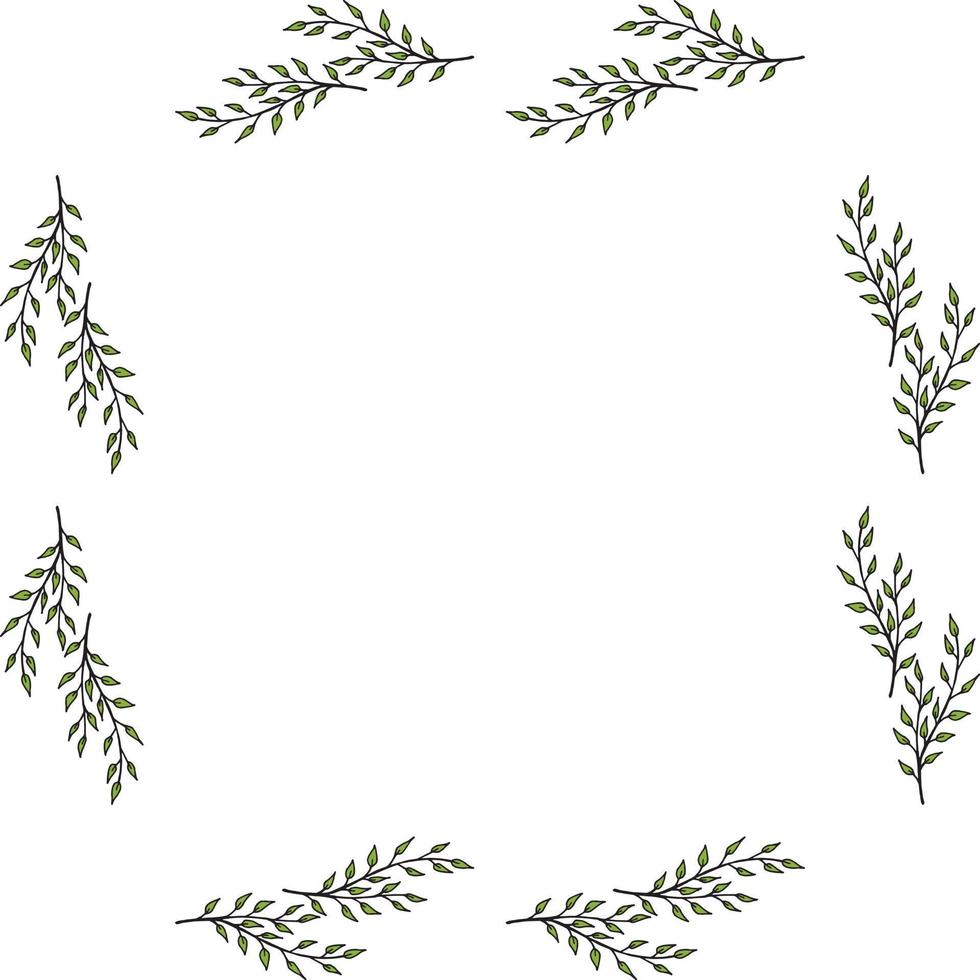 Square frame made of green branches. Branches on white background for your design. vector