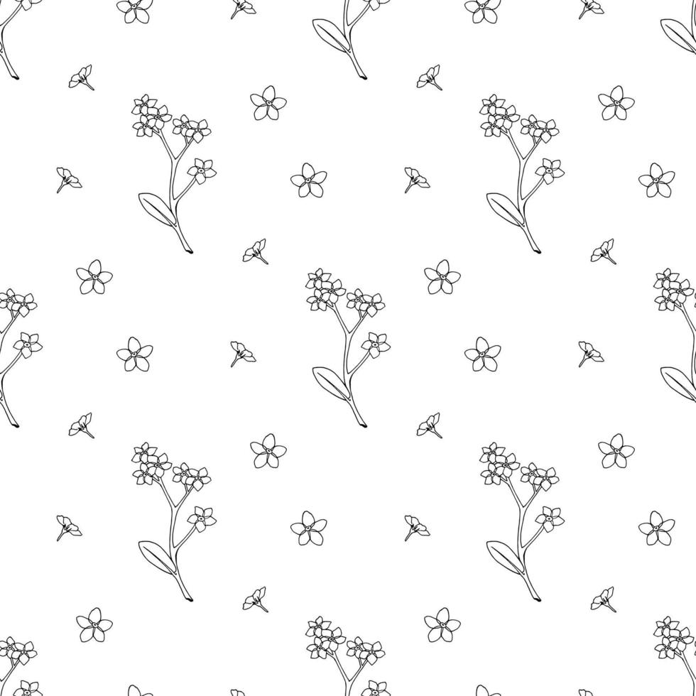 Seamless pattern with black-and white flowers forget-me-not for fabric, textile, clothes, tablecloth and other things. Vector image.