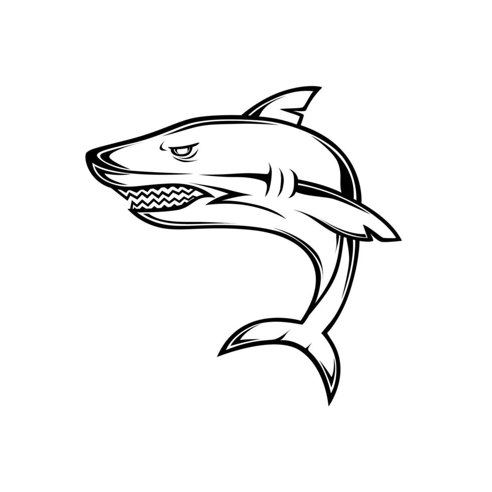 Design Vector image of a black shark. in shadow, logo or symbol
