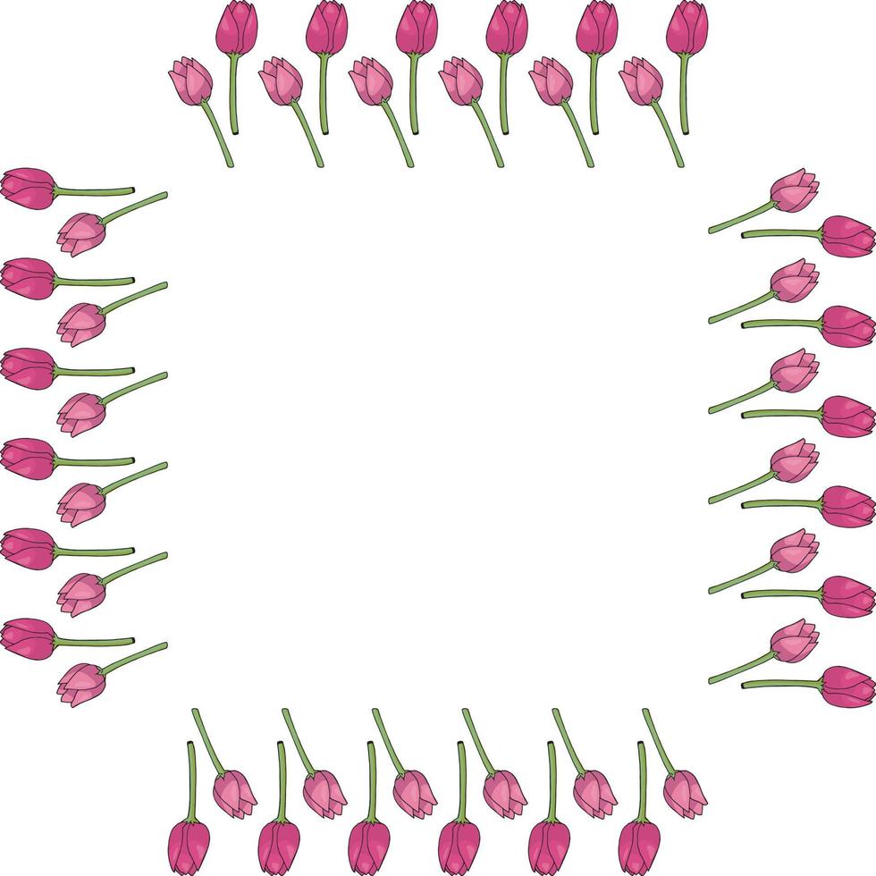 Square frame with vertical bright pink tulips on white background. Isolated frame of flowers for your design. vector