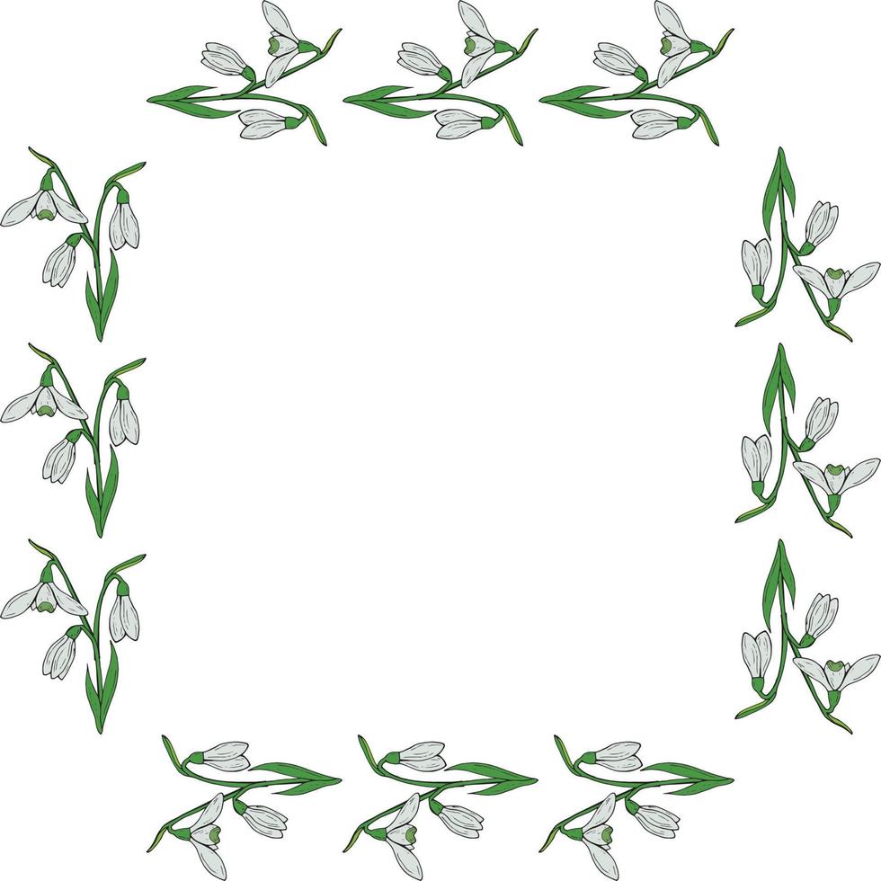 Square frame with horizontal lovely snowdrops on white background. Isolated vector flowers pattern for your design.