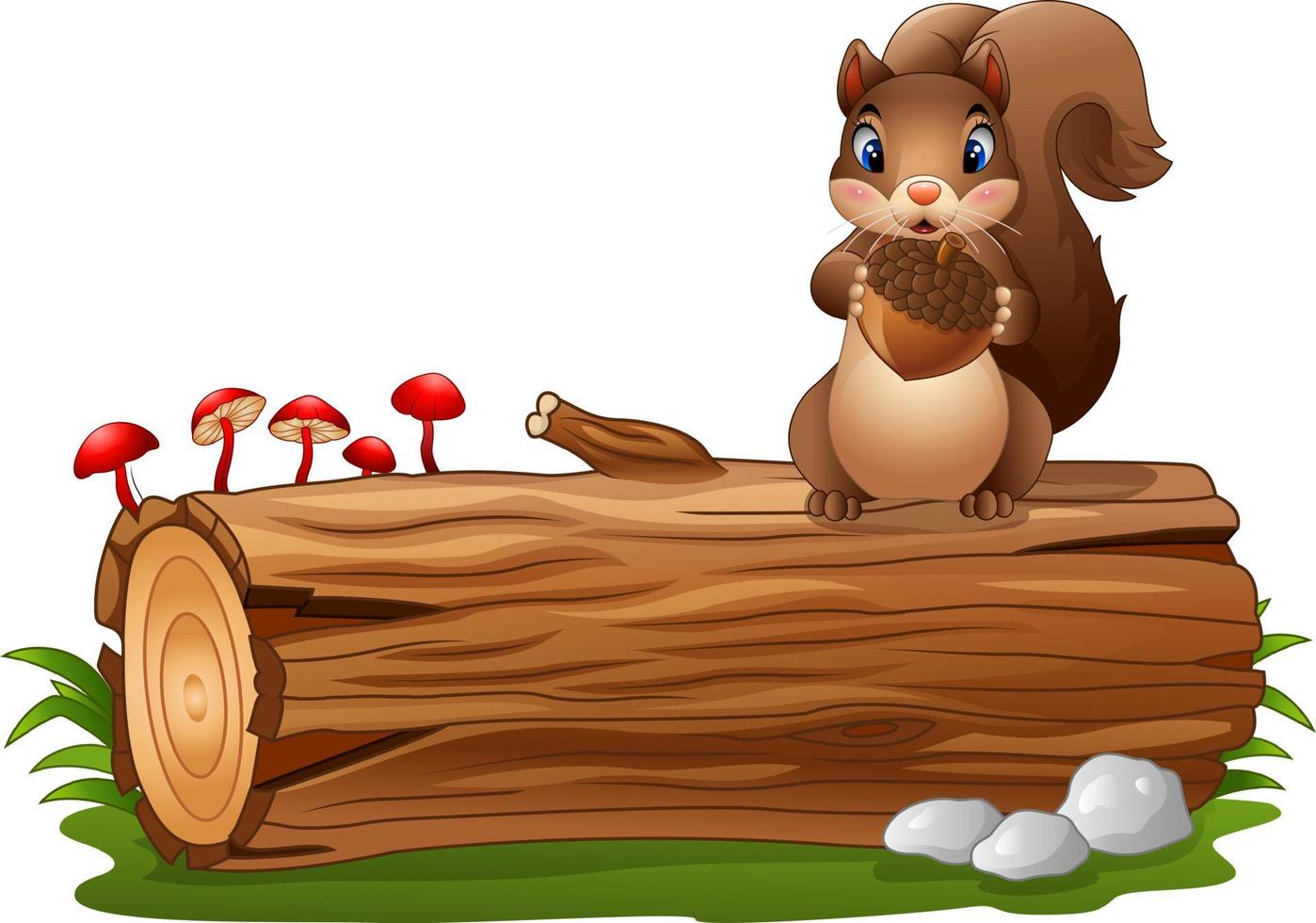 Cartoon squirrel holding acorn vector