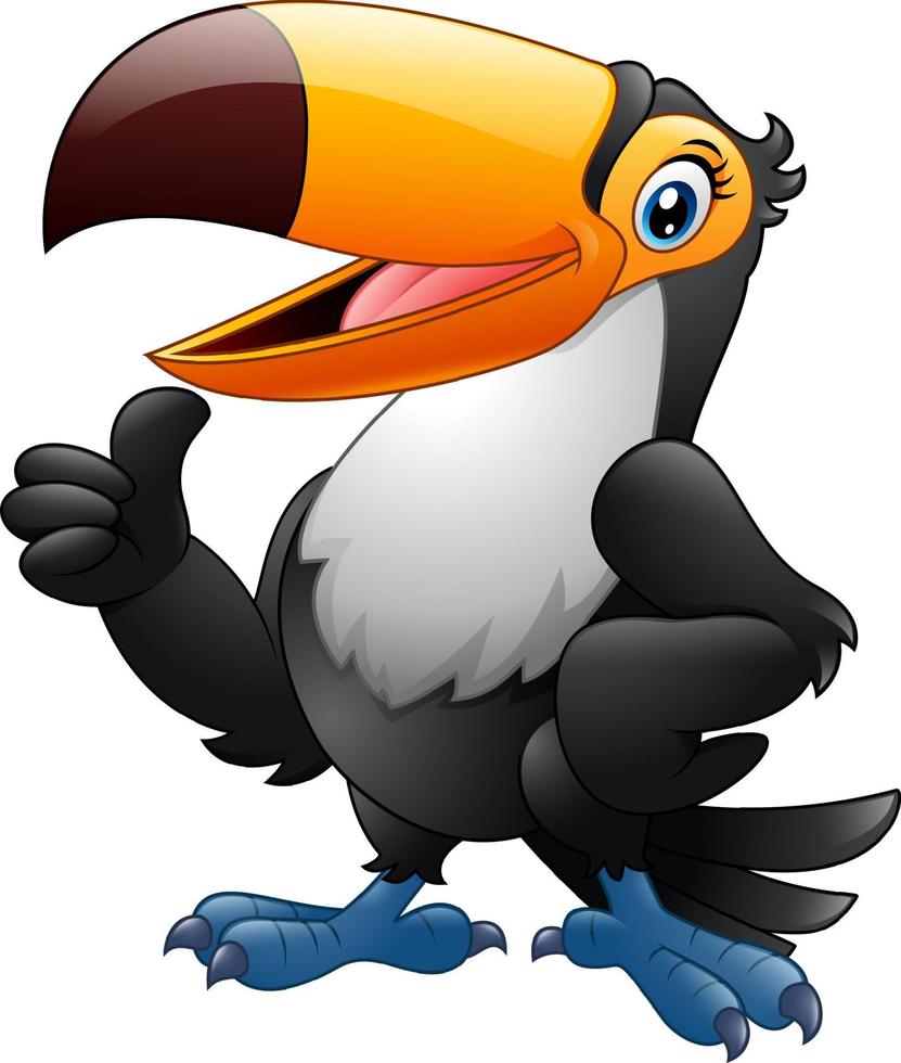 Cartoon funny toucan giving thumb up vector