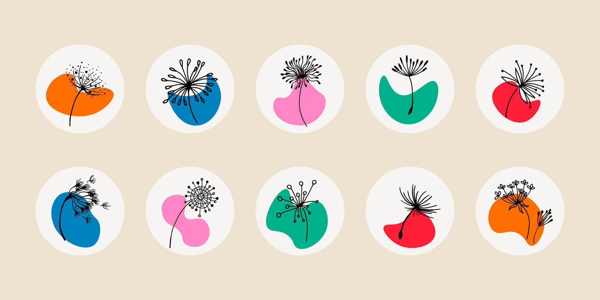 iconos de medios sociales - dientes de león, semillas de diente de león flores silvestres botánicas, cubiertas brillantes, iconos de diseño de flores, ilustración vectorial. iconos de flores en estilo garabato. vector