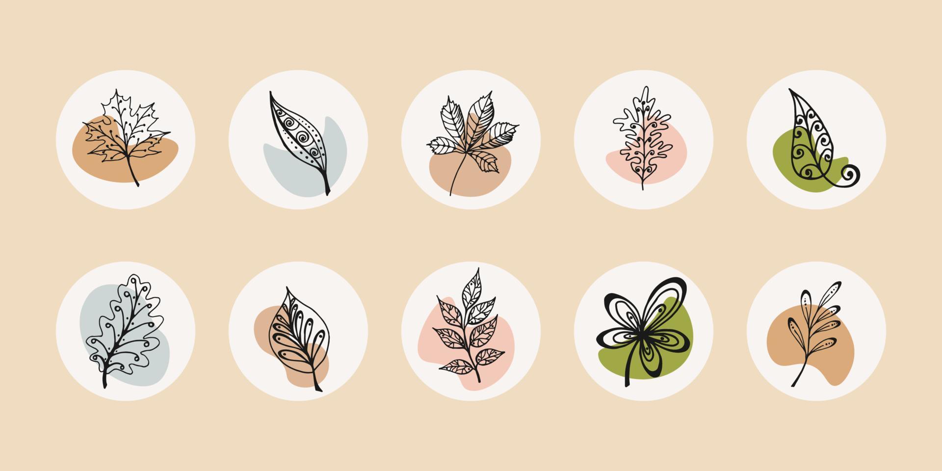 iconos de redes sociales: hojas botánicas, flores silvestres, portadas destacadas, iconos de diseño floral, ilustración vectorial. iconos de otoño en estilo garabato. vector