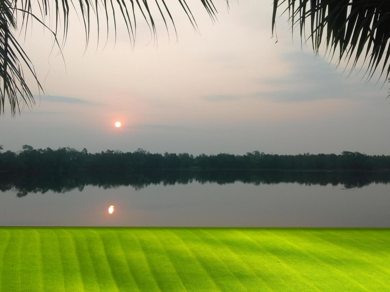 Green banana leaf counter at sunrise in the swamp at dawn. Can be used as a display stand for presentations and advertisements. photo